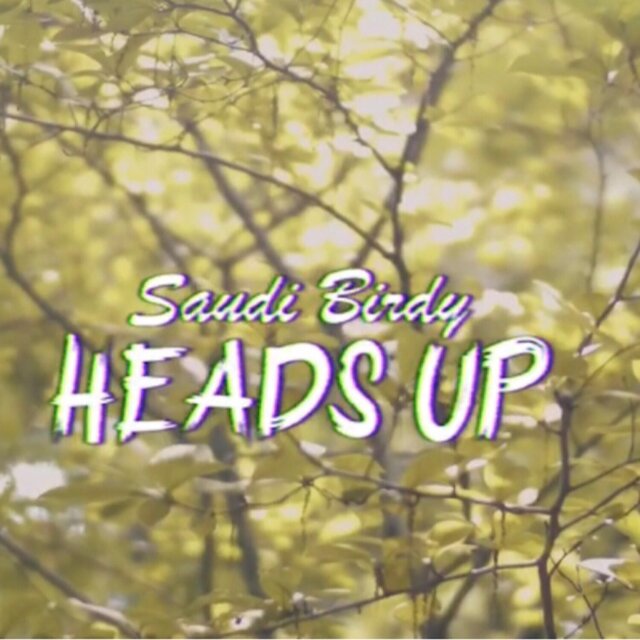 Heads Up (Mastered)