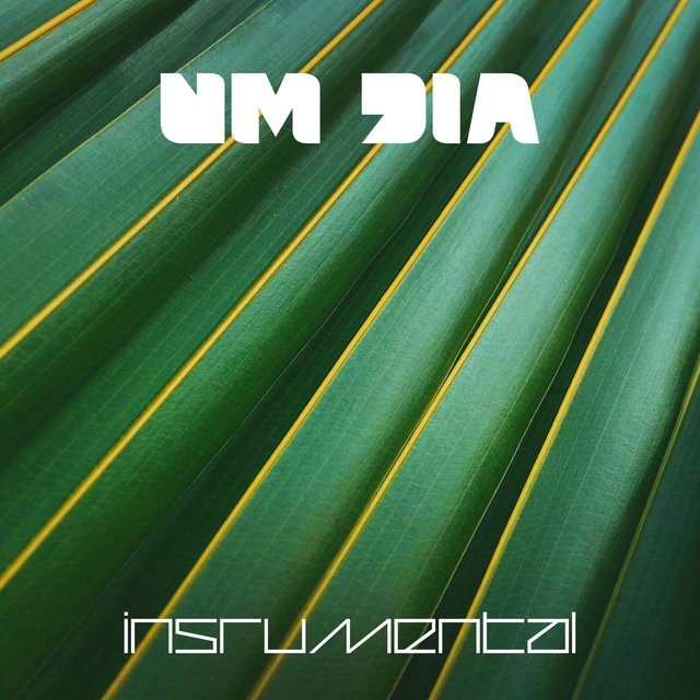 Um Dia