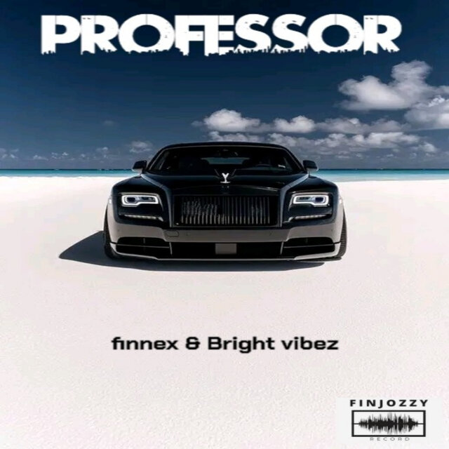 Professor