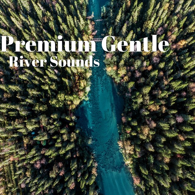 Premium Gentle River Sounds