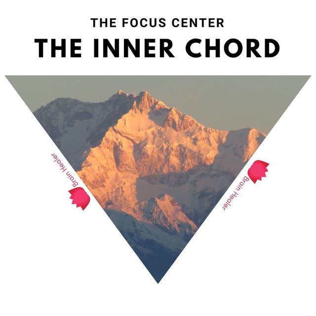 The Focus Center