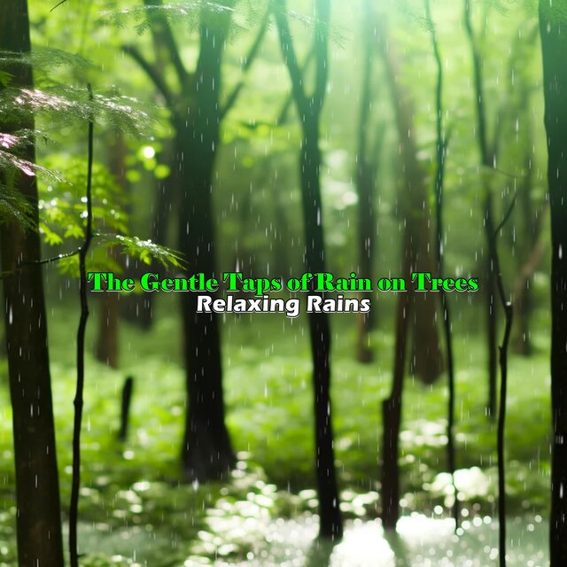 The Gentle Taps of Rain on Trees