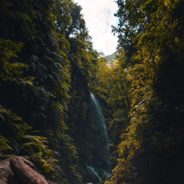Nature Piano Music