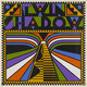 Cover art for album Twin Shadow by Twin Shadow