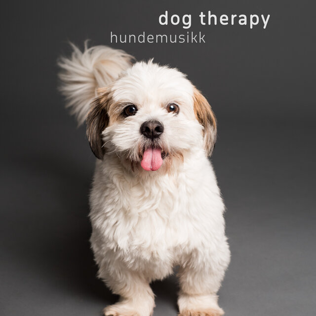 Dog Therapy