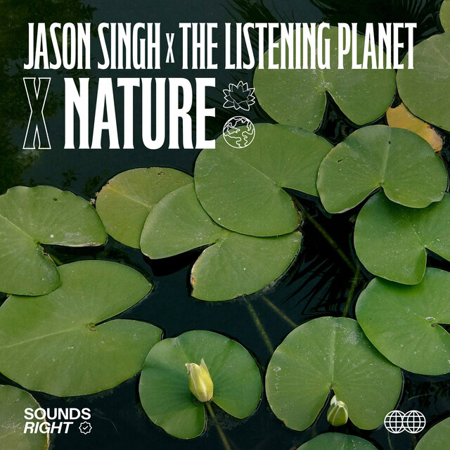 Nature's Voice II