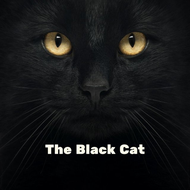 The Black Cat (Instrumental)