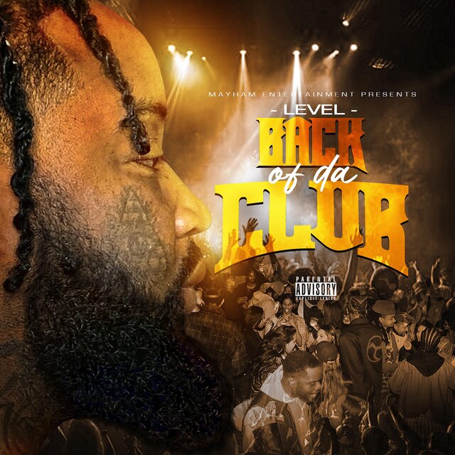 Cover art for album  by Level