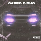 Carro Bicho