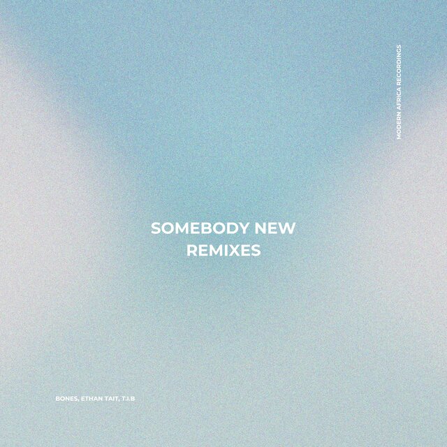 Somebody New Remixes