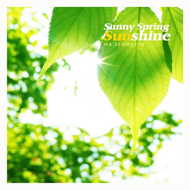 Sunny spring sunshine