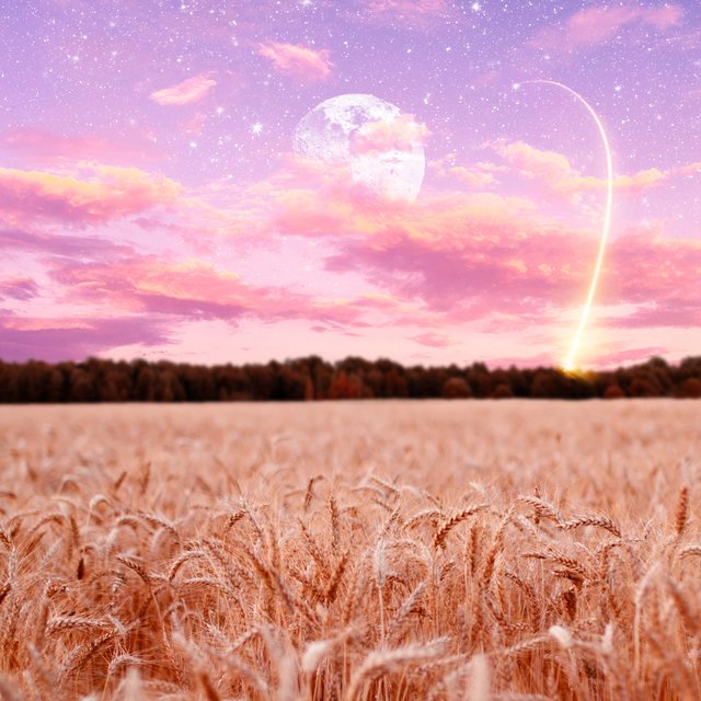 Shoot for the Moon