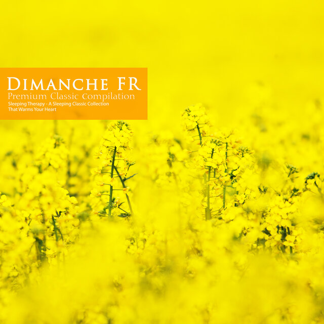 Classical Collection for Sleep That Warms Your Heart