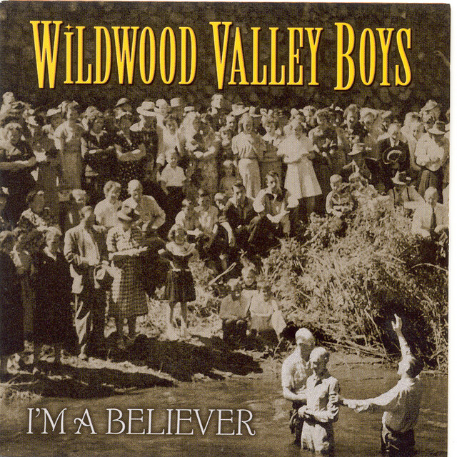 I'm A Believer