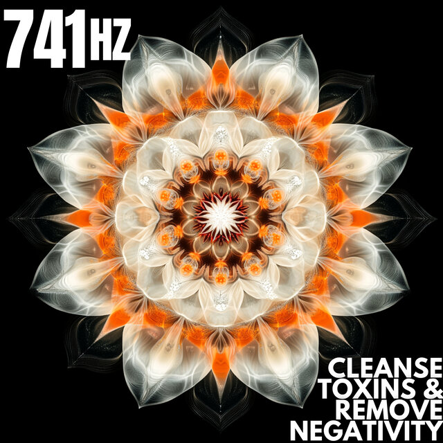 741 Hz Cleanse Toxins & Remove Negativity