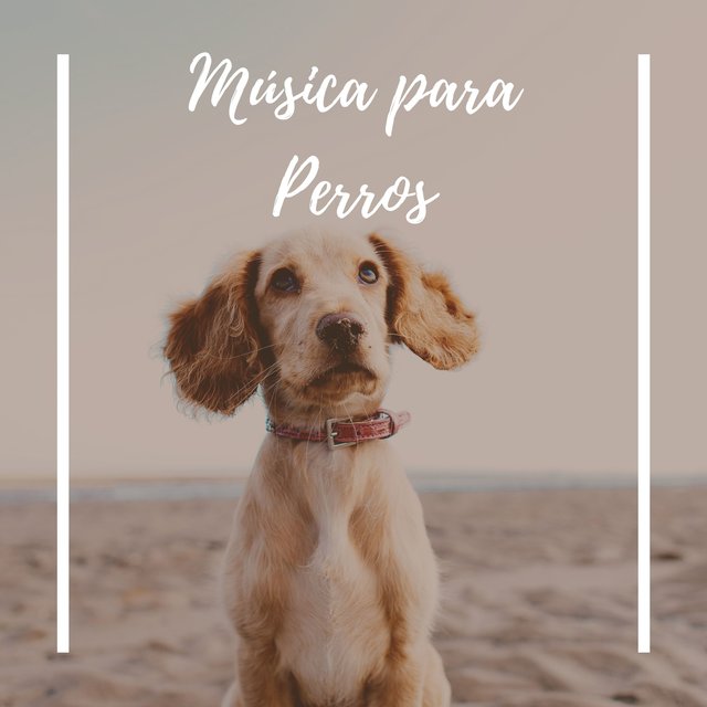 Música para Perros