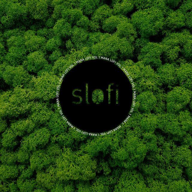 Mana Lofi, Vol. 1