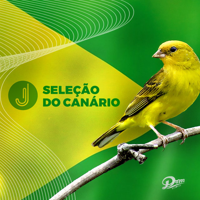 Seleção do Canário