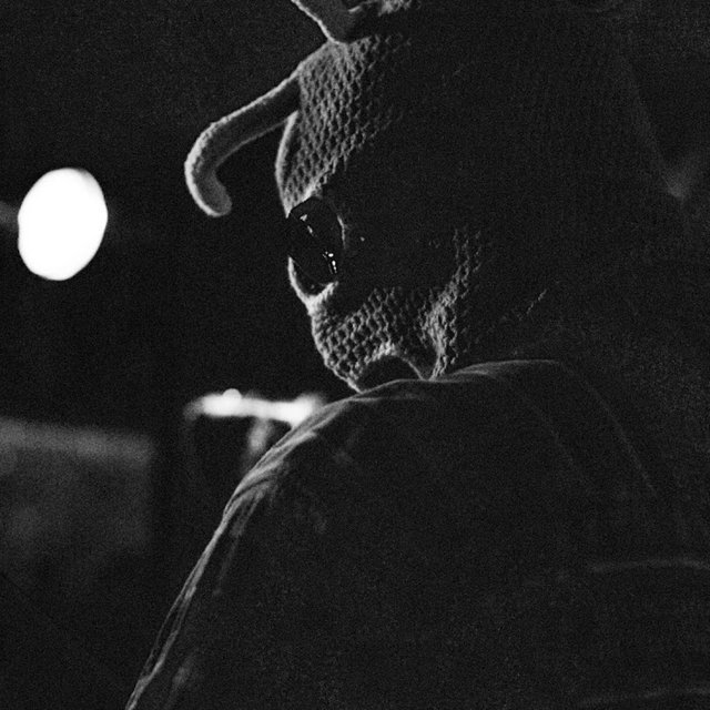 Bark For Probable Cause (Live)