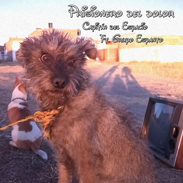 Prisionero del Dolor