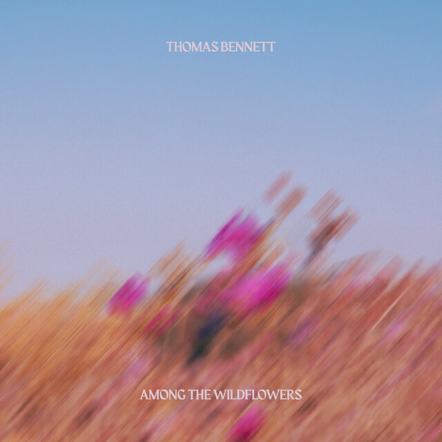 Among the Wildflowers