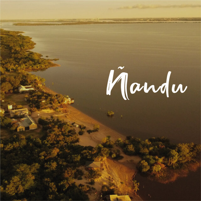 Ñandu