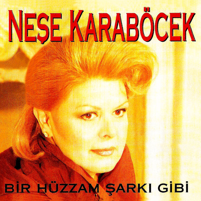 Bir Hüzzam Şarkı Gibi