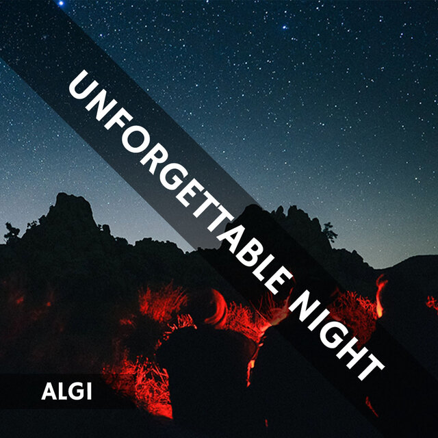 Unforgettable Nights