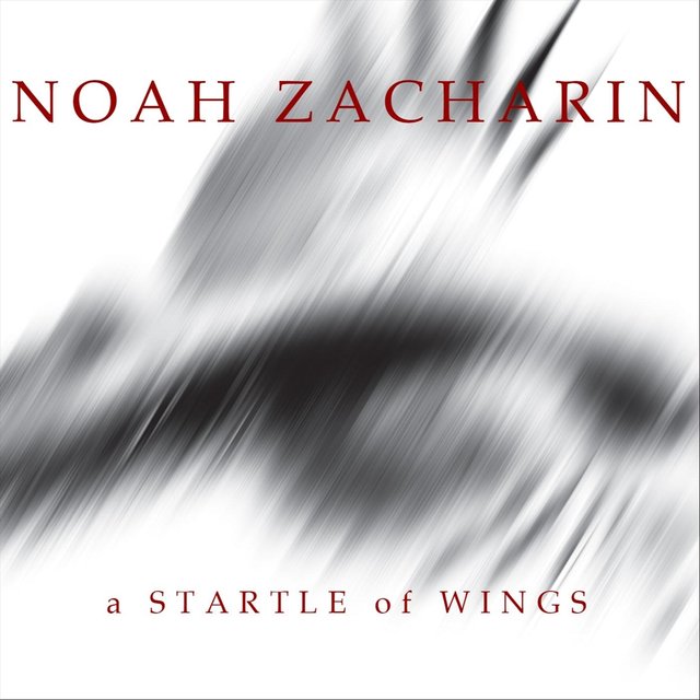 A Startle of Wings