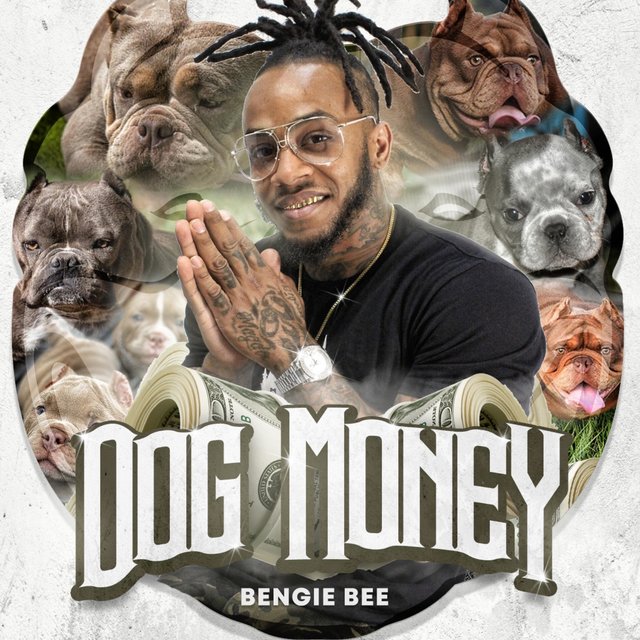 Dog Money