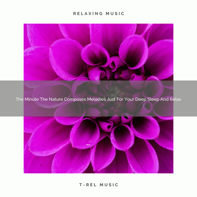 2021 New: The Minute The Nature Composes Melodies Just For Your Deep Sleep And Relax