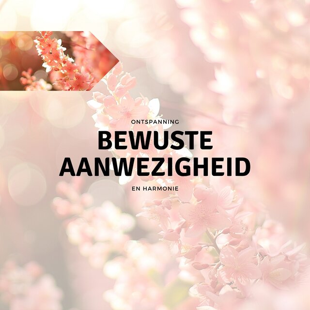 Bewuste Aanwezigheid