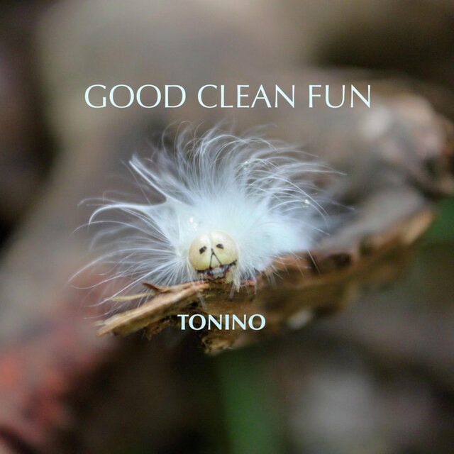 Good Clean Fun