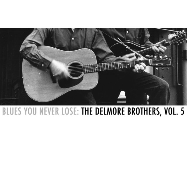 Blues You Never Lose: The Delmore Brothers, Vol. 5
