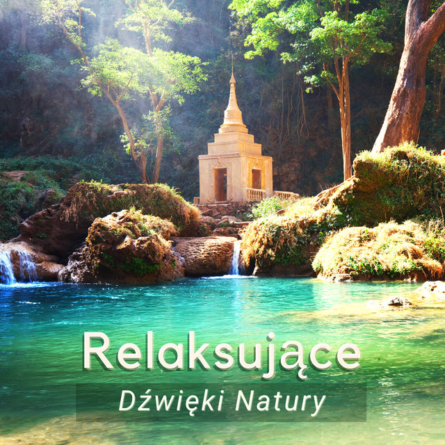 Relaksujące Dźwięki Natury - Muzyka Relaksacyjna, Odgłosy Natury