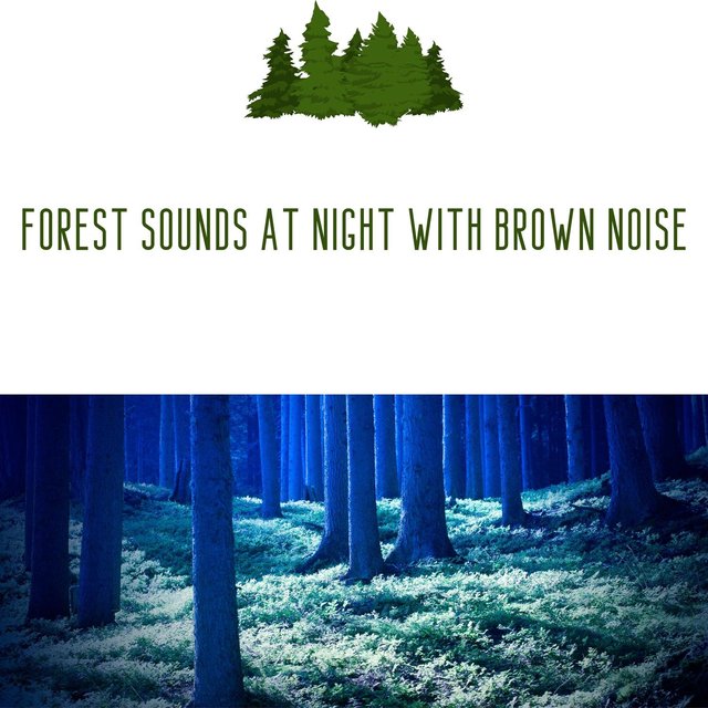 Forest Sounds at Night with Brown Noise, Loopable