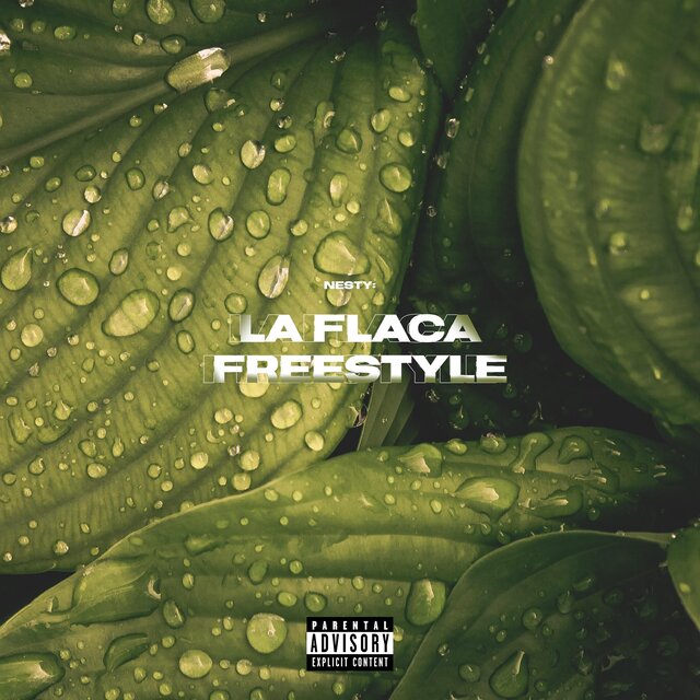 La Flaca Freestyle