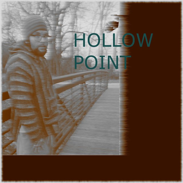 Hollow Point