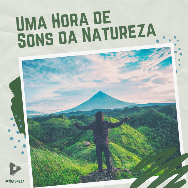 Uma Hora de Sons da Natureza