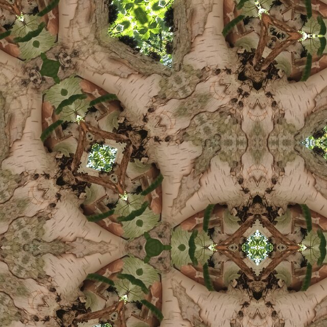 Rife Frequencies Silent Reverie