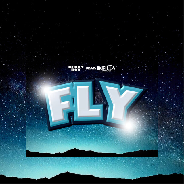 Fly