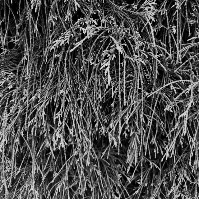 Fellwalker Instrumentals