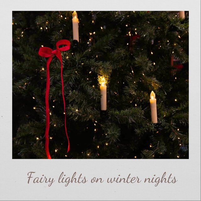 fairy lights on winter nights