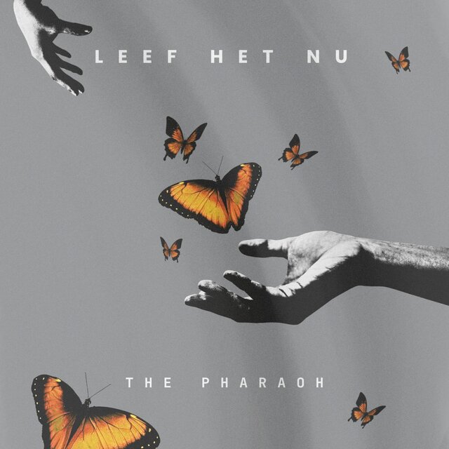 Leef Het Nu