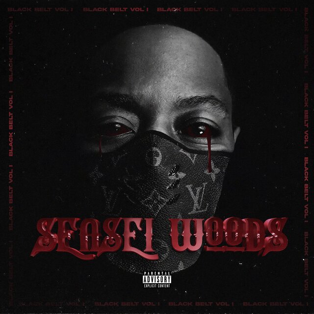 Black Belt, Vol. 1 (Sensei Woods)