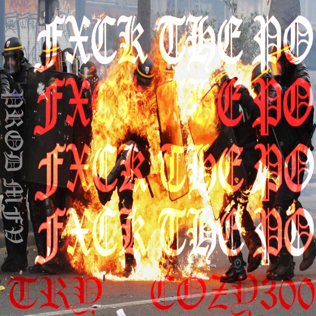 Fxck the Po (feat. TRY)