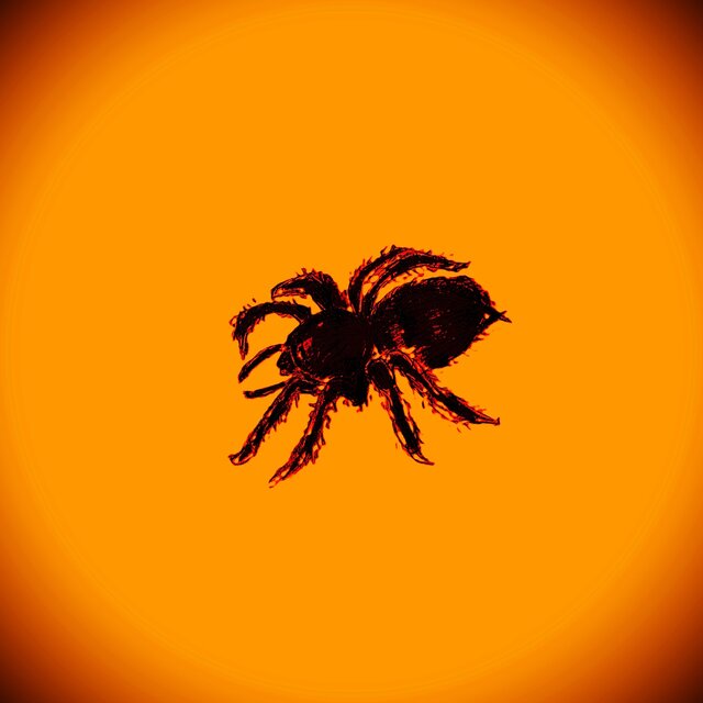 Spinnentraum