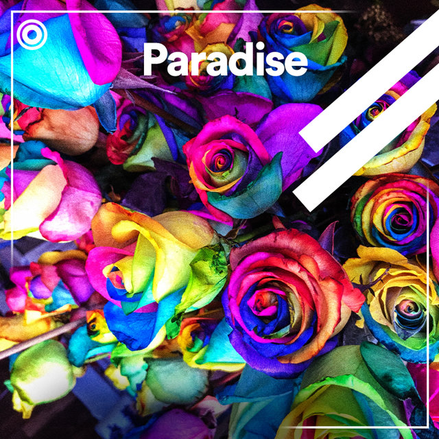Paradise