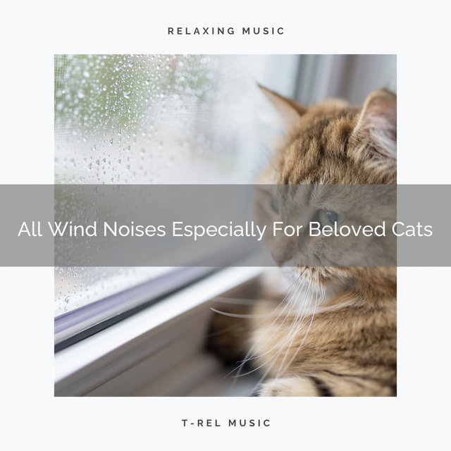 All Wind Noises Especially For Beloved Cats