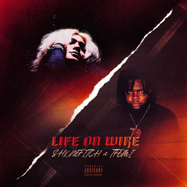 LIFE ON THE WIRE
